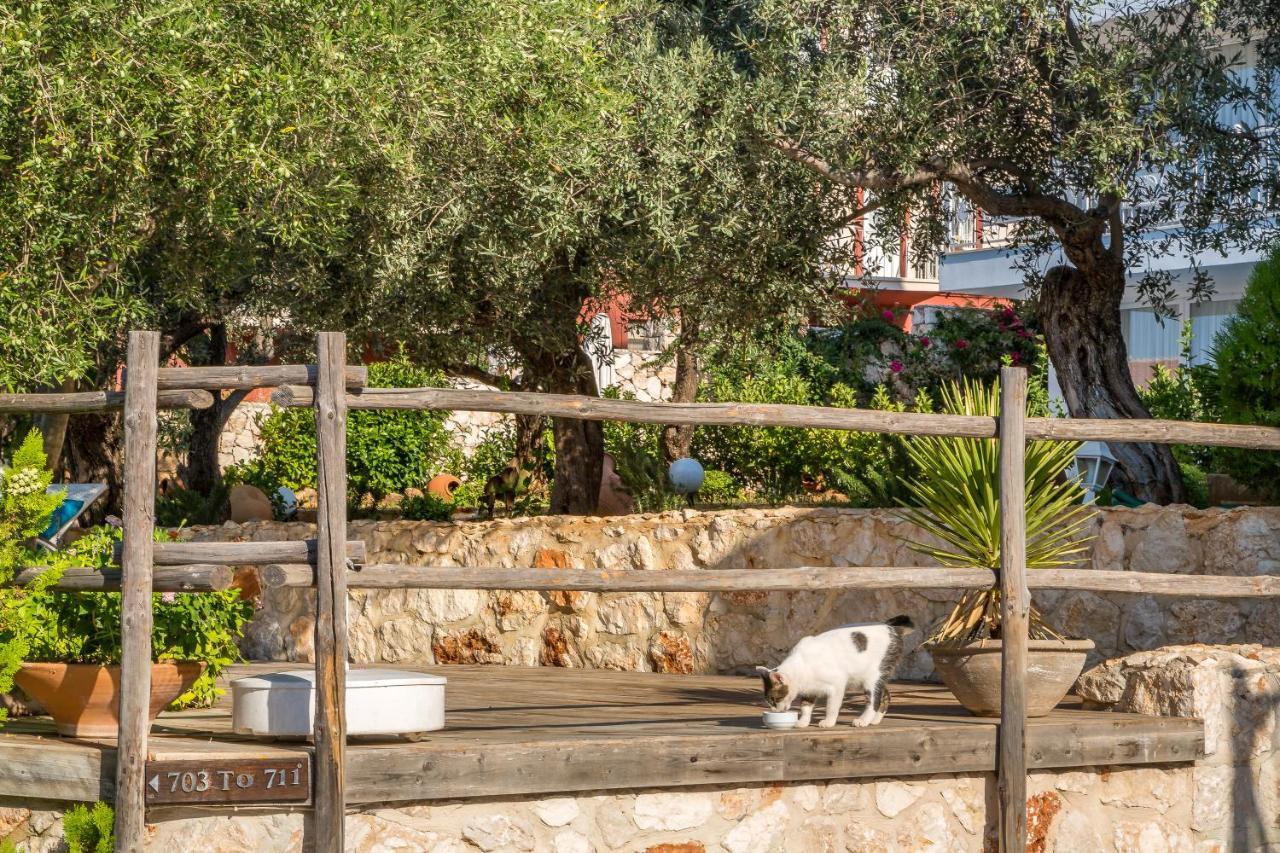 Oasis Hotel (Adults Only) Kalkan Kültér fotó
